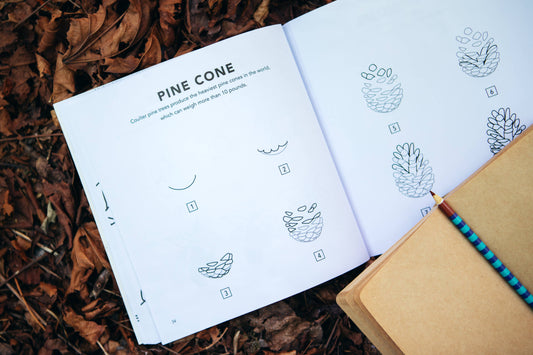 Fall Things: How to Draw Books for Kids with Pumpkins, Scarecrows, Turkeys and More