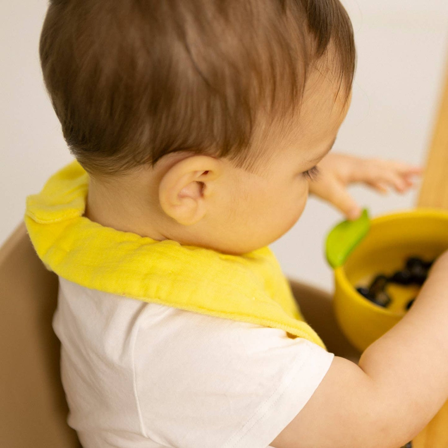 Oli & Carol Lou The Lemon Bib